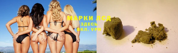 apvp Инта