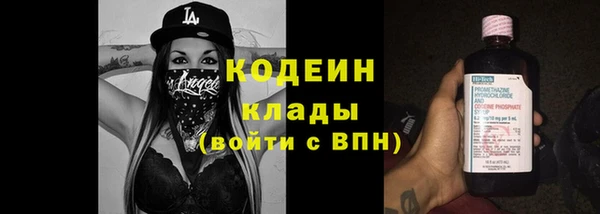 apvp Инта