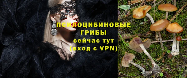 apvp Инта