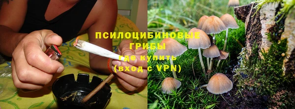 apvp Инта