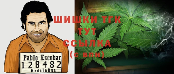 apvp Инта