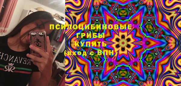 герыч Инсар