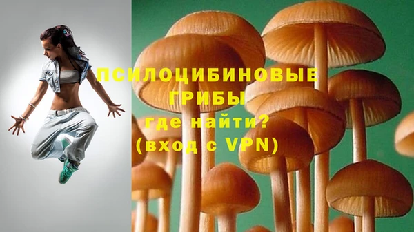герыч Инсар