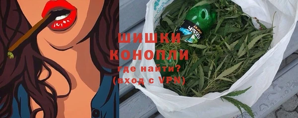 apvp Инта