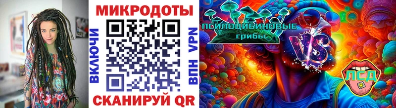 Купить закладки  Черногорск  Галлюциногенные грибы Psilocybe 